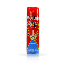 Mortein Insecticide (300 ml)